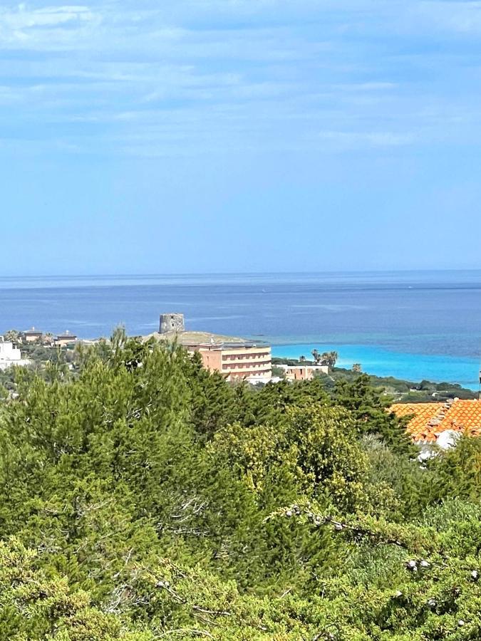 Casa Vacanze Stintino Vista Mare Exterior foto